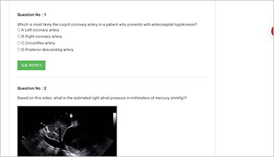 ae-adult-echocardiography_exam_2