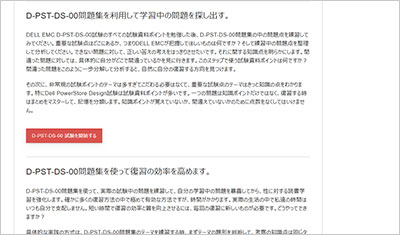 d-pst-ds-00_shiken_2