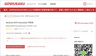 erp-consultant_shiken_1