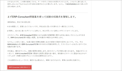 erp-consultant_shiken_2