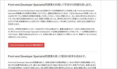 front-end-developer-specialist_shiken_2
