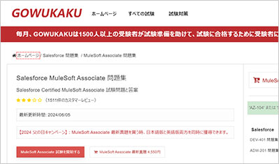 mulesoft-associate_shiken_1