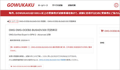 omg-oceb2-busadv300_shiken_1