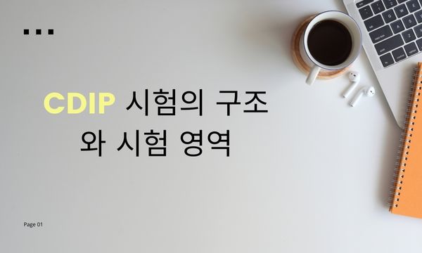 CDIP 시험의 구조와 시험 영역