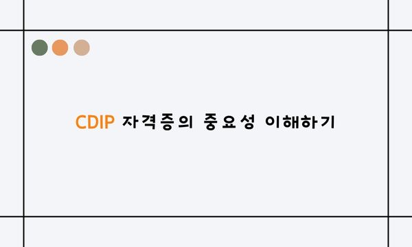 CDIP 자격증의 중요성 이해하기