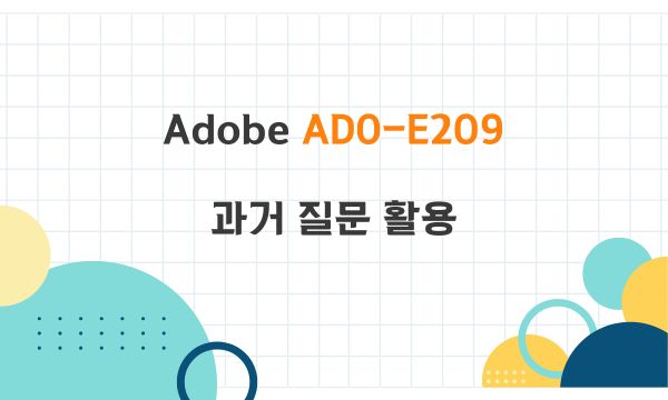 Adobe AD0-E209 과거 질문 활용